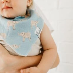 Copper Pearl Baby Bandana Bibs | Peanut -The Baby's Crib CP1J21ACLSSWEB 388