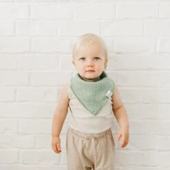 Copper Pearl Baby Bandana Bibs | Peanut -The Baby's Crib CP1J21ACLSSWEB 407