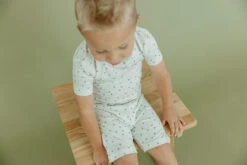 Copper Pearl 2-Piece Short Sleeve Pajama Set | Haze -The Baby's Crib CPBackToSchool23AC 523