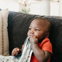 Copper Pearl Three-Layer Security Blanket Set | Trout -The Baby's Crib CPG21ACWEB 409 98be21d4 10ef 4cbf 91ab f2d000f3f73d