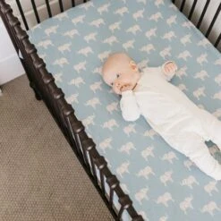 Copper Pearl Premium Knit Fitted Crib Sheet | Peanut -The Baby's Crib CPJULY21ACWEB 778