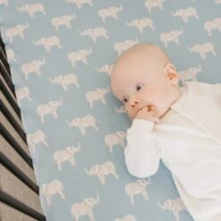 Copper Pearl Premium Knit Fitted Crib Sheet | Peanut -The Baby's Crib CPJULY21ACWEB 781