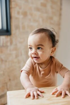 Copper Pearl Short Sleeve Bodysuit | Pecan 15 Copper Pearl Short Sleeve Bodysuit | Pecan -The Baby's Crib CPJan5AC23WEB 144