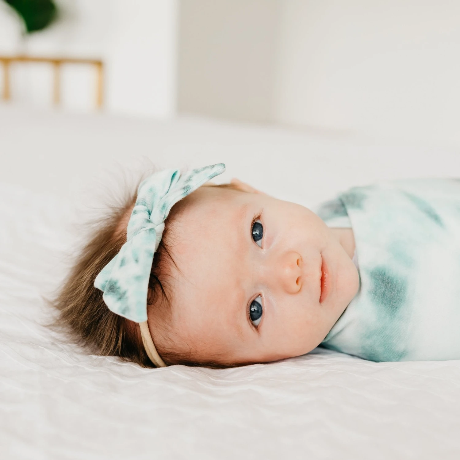 Copper Pearl Ribbon Nylon Bow | Bahama 7 Copper Pearl Ribbon Nylon Bow | Bahama - Image 5