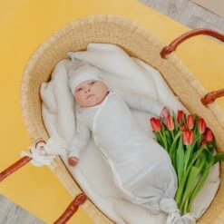 The Baby's Crib -The Baby's Crib CPSpring23ACweb 2